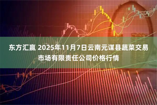 东方汇赢 2025年11月7日云南元谋县蔬菜交易市场有限责任公司价格行情