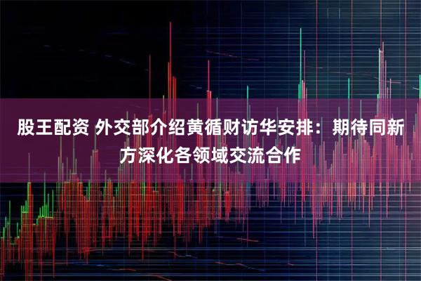 股王配资 外交部介绍黄循财访华安排：期待同新方深化各领域交流合作